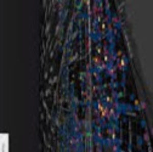 Meet your Posher, Gloriya